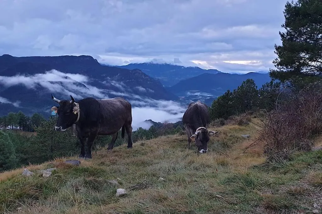 Precioso Apartamento En El Pirineo Catalan La Pobla de Lillet Spain